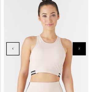 AMBITION BRA: ROSEWATER